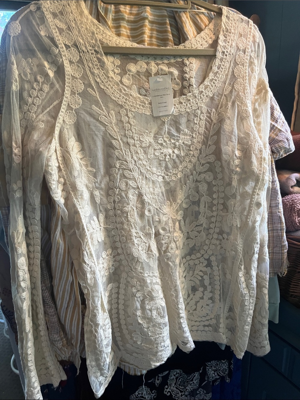 Modern Vintage Ivory Embroidered Lace Sheer Top